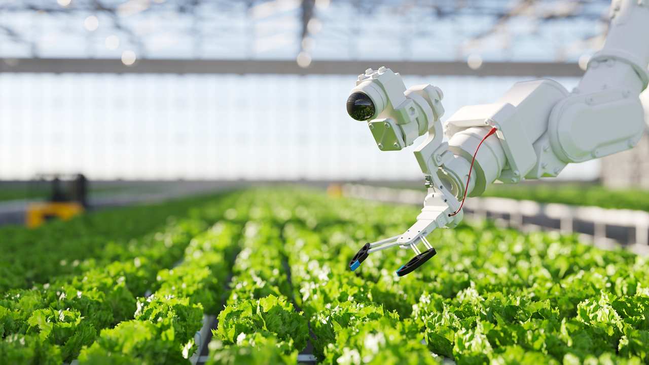 英飞凌科技2025年度报告