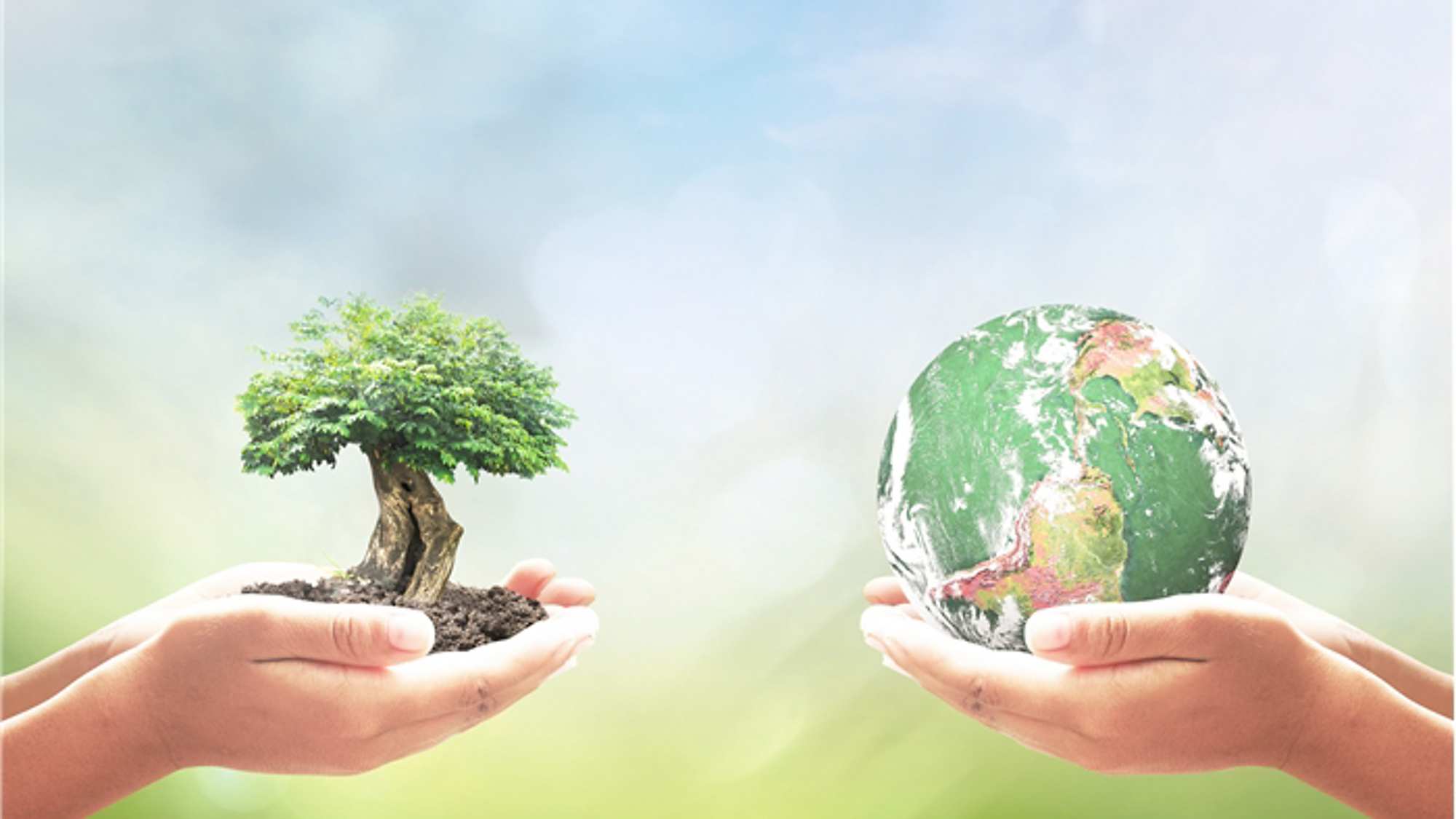 Infineon Most Sustainable Company For 12 Consecutive Years