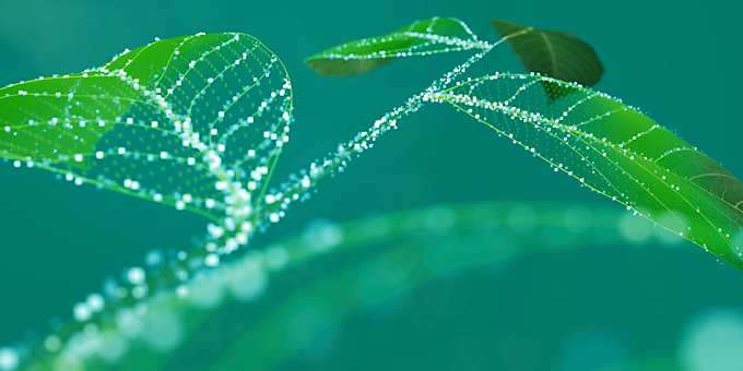 英飞凌与您一起携手并进——共同推动人工智能革命