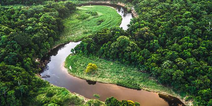 生物多样性和不砍伐森林